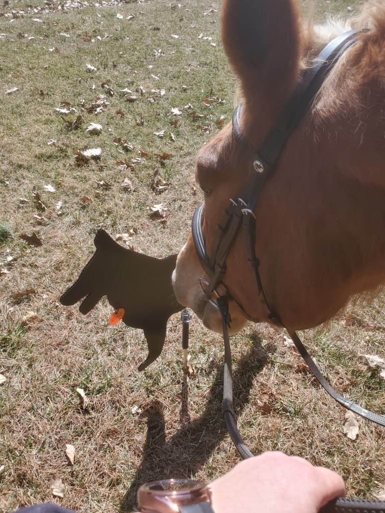 A horse reaches out  with his nose to sniff a black silhouette of a German Shepherd dog that has been stuck in the early spring grass.