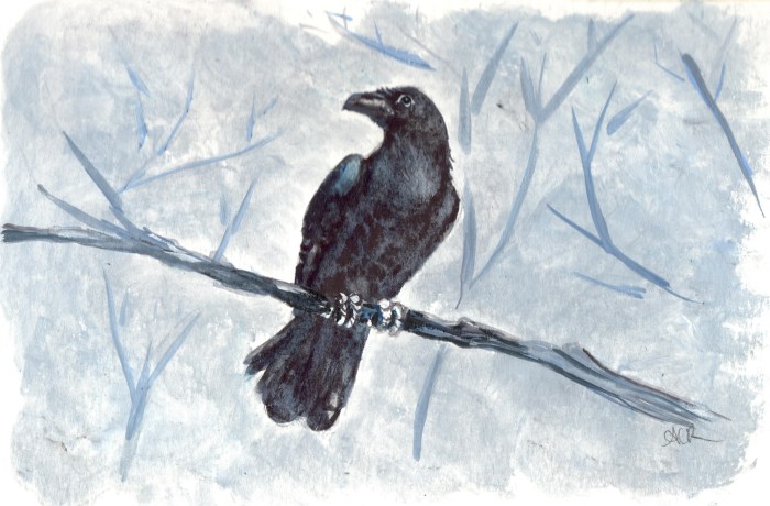 A Raven Perches on a Branch in a Wintery Wood